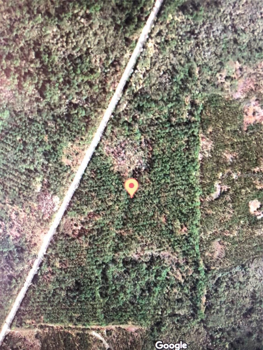 35 Acres Madison Main Line Property Photo 5