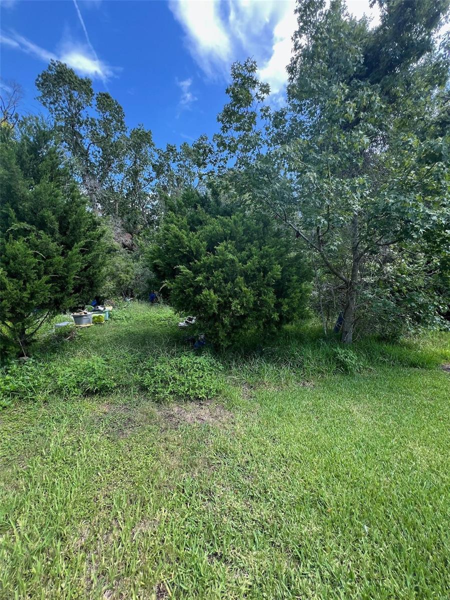 18741 PLAINS RD Property Photo 1