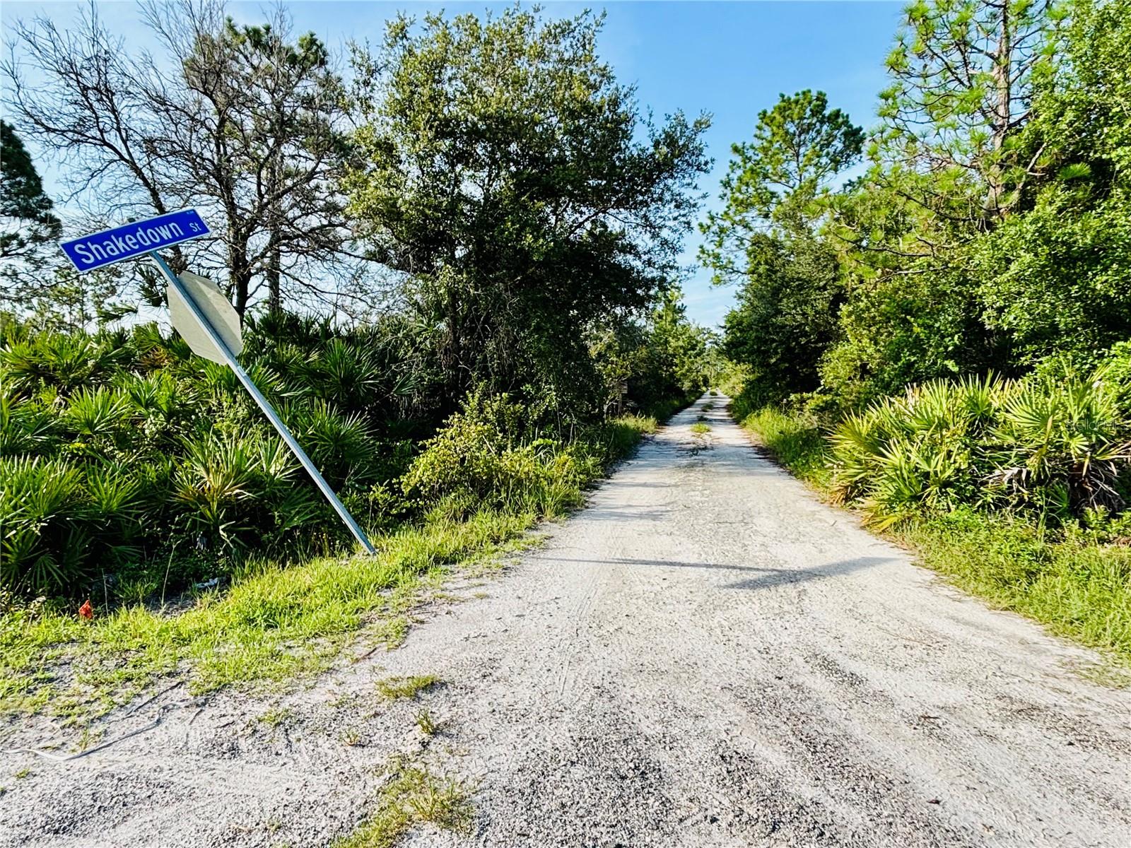 0 Shakedown Street Property Photo 11
