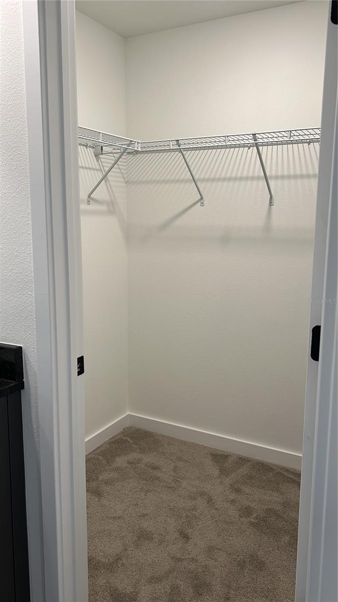 8807 Positivity Dr Property Photo 6