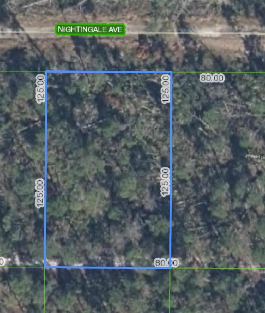 455 Nightingale Ave Property Photo 1