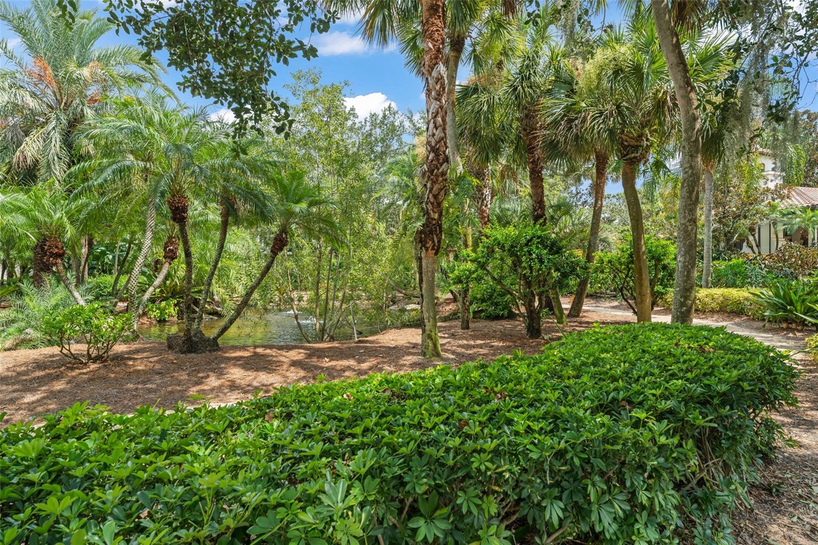 4819 Alexandra Garden Ct Property Photo 43