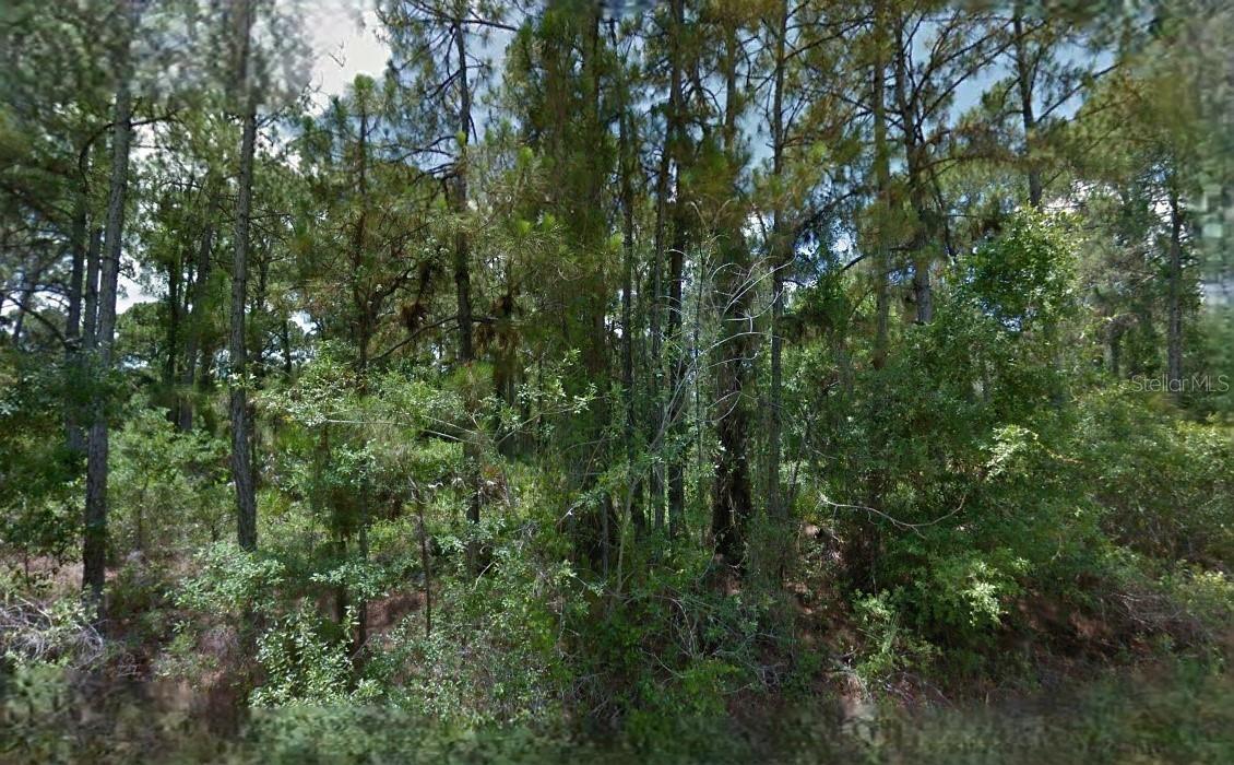 BOYD AVE Property Photo 1