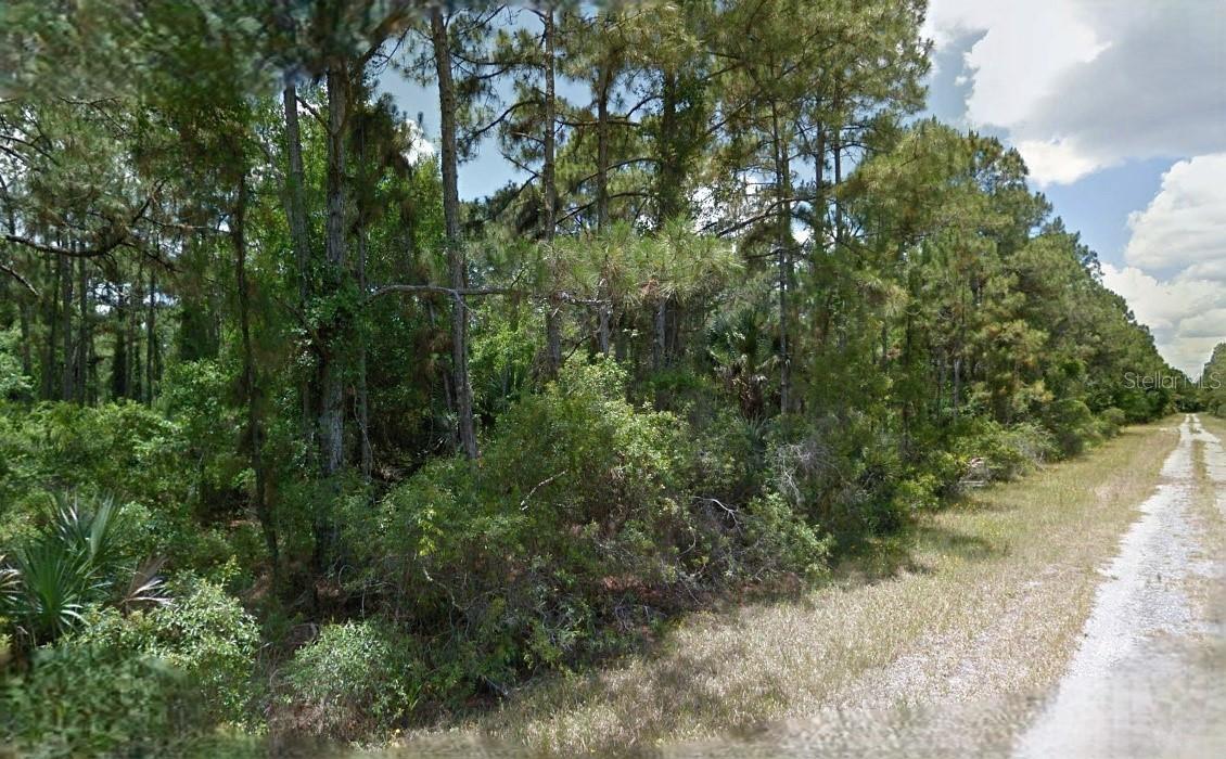 Boyd Ave Property Photo 4