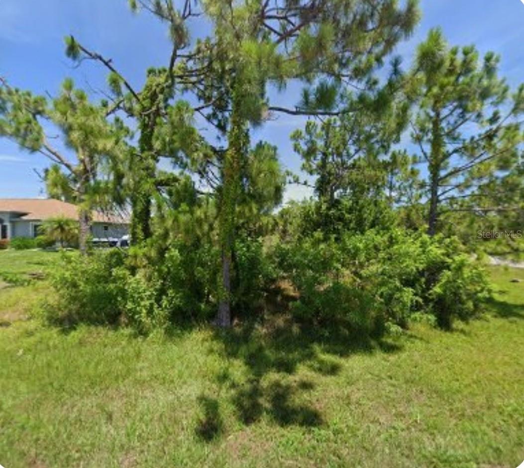 10098 Army Cir Property Photo