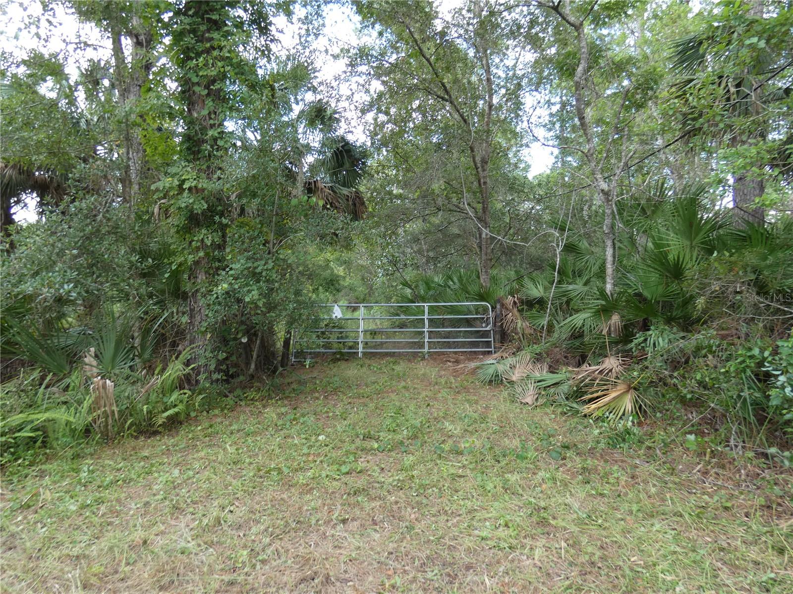1275 Davidson Dr Property Photo 1