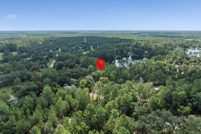 Pine Valley Dr Property Photo 3