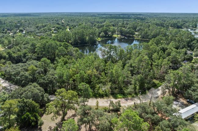 Pine Valley Dr Property Photo 4