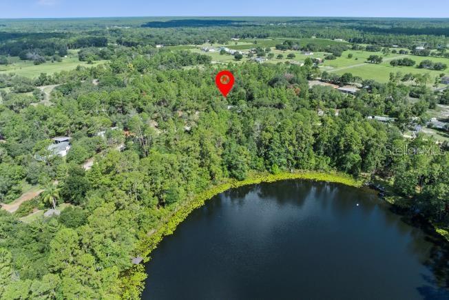 Pine Valley Dr Property Photo 5