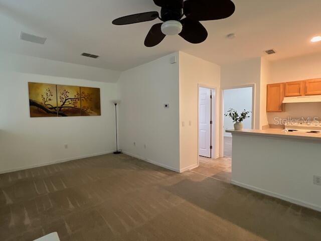 947 Spring Park Loop #apt B Property Photo 6