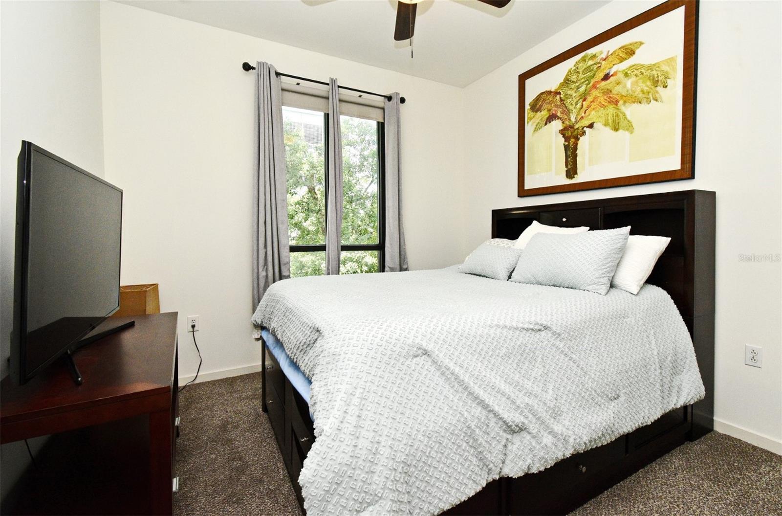 460 E Jackson St #5 Property Photo 10
