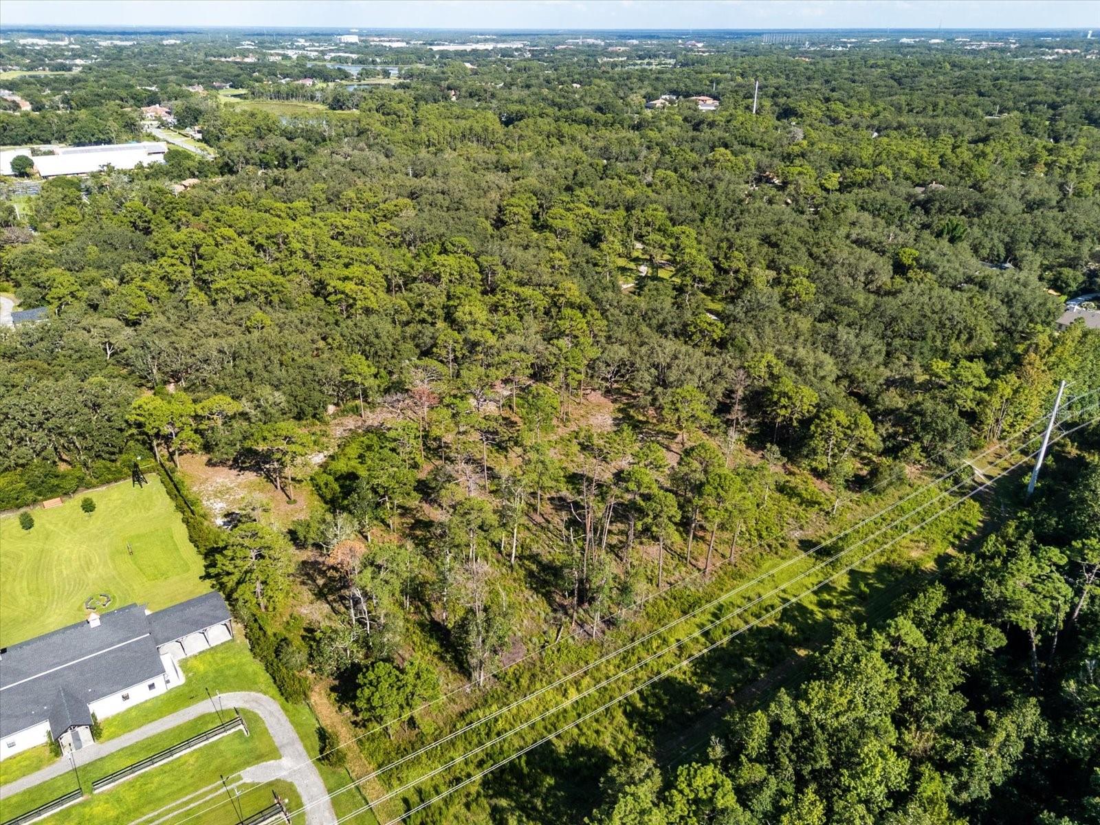 Markham Woods Rd Property Photo 5