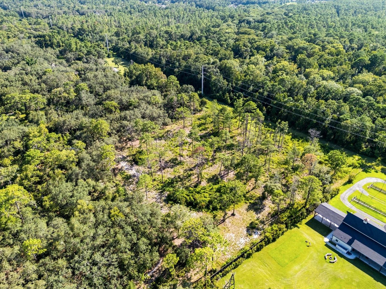 Markham Woods Rd Property Photo 6