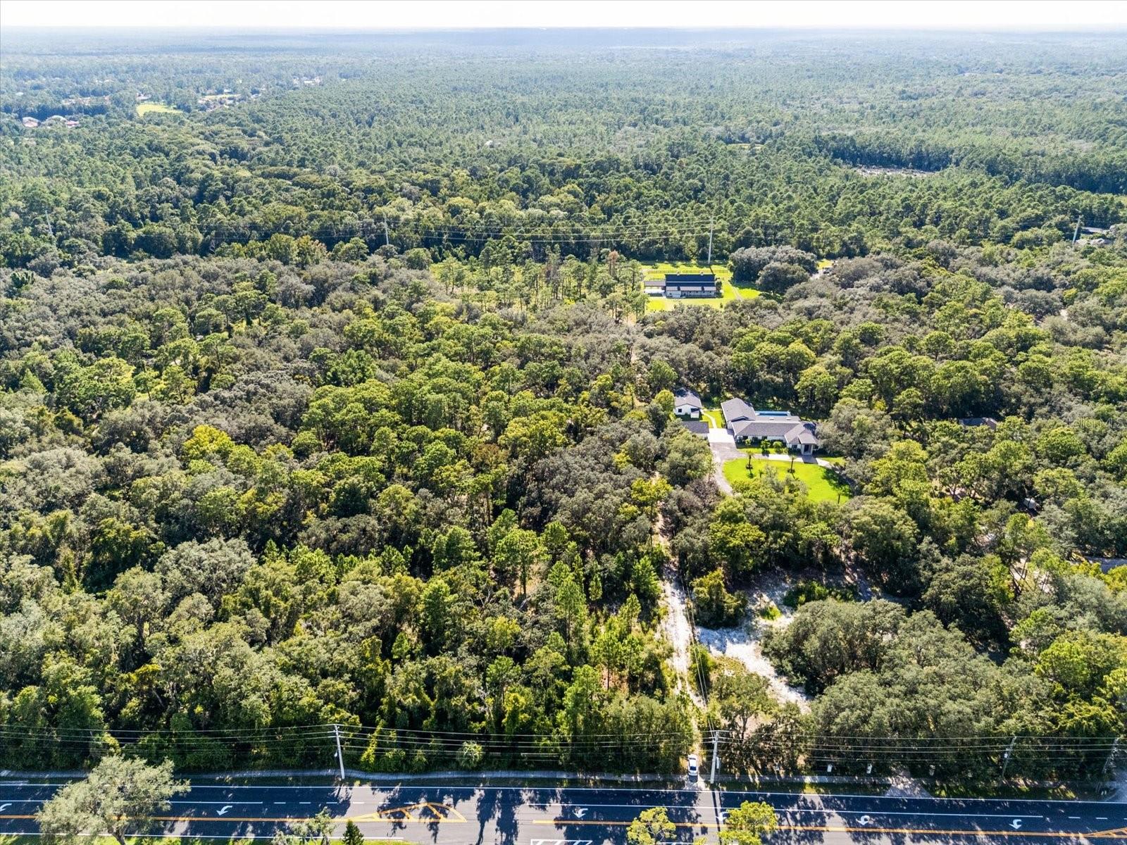 Markham Woods Rd Property Photo 9