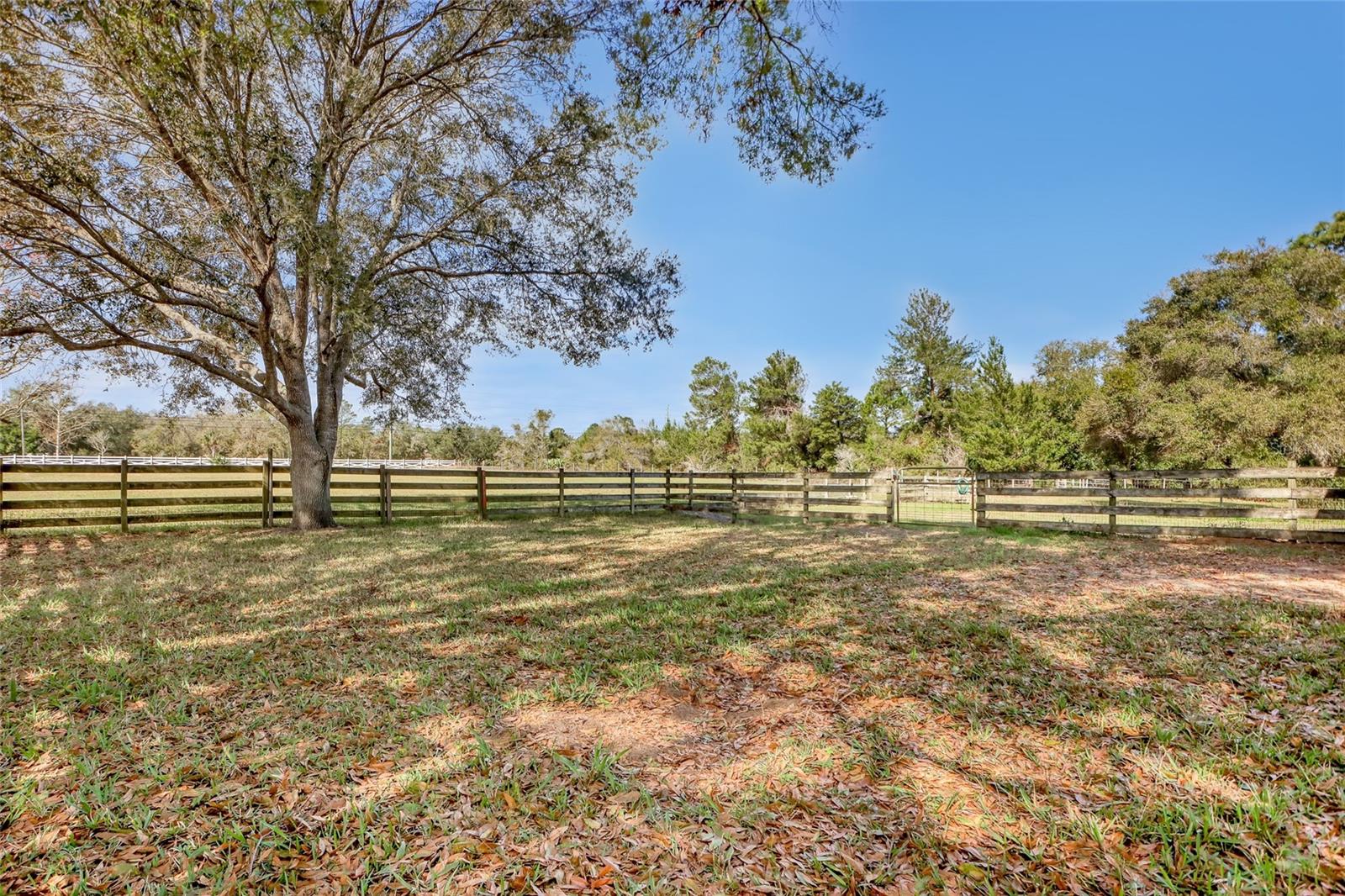5005 Highway 1 Property Photo 63