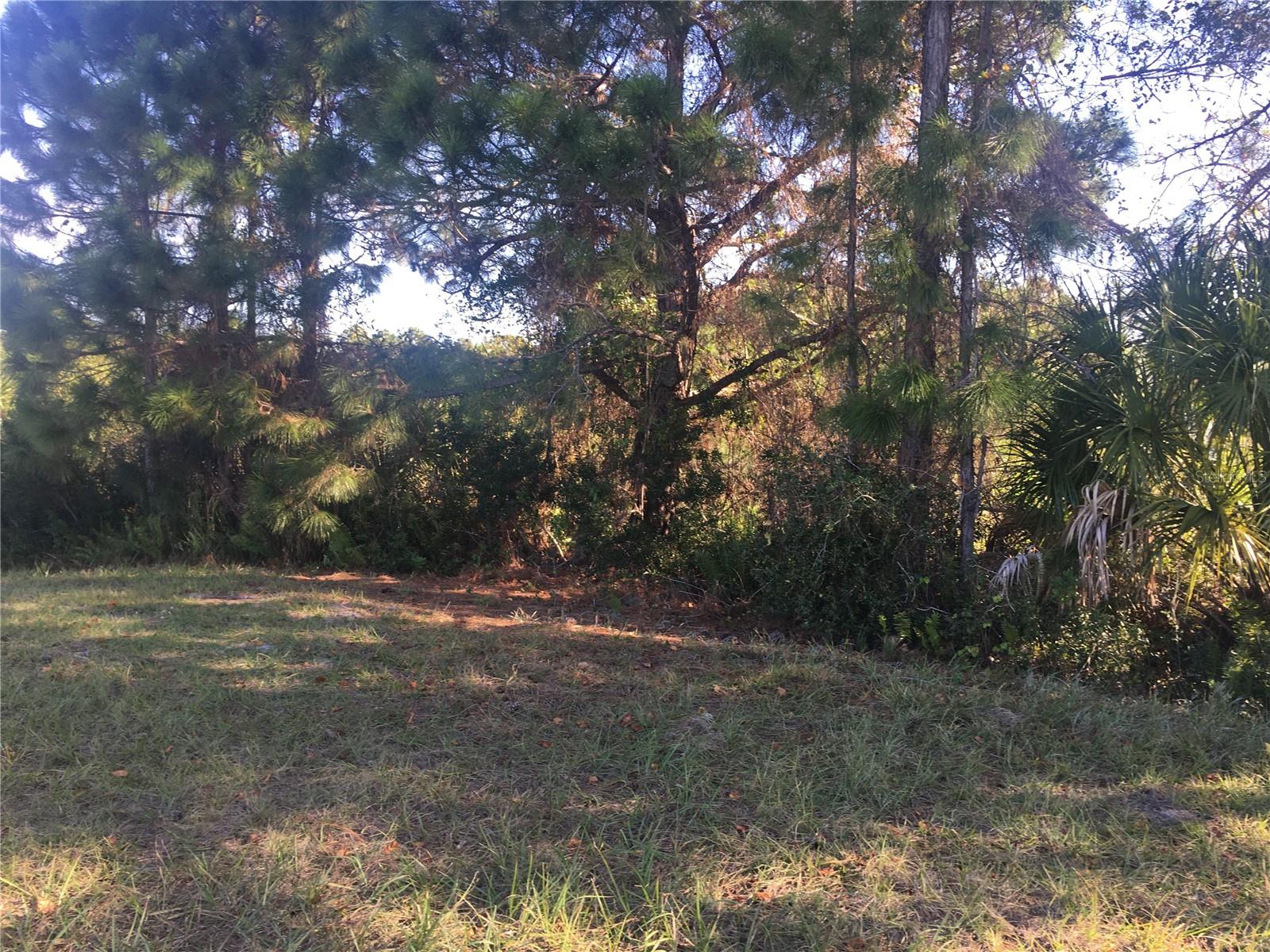 170 Tournament Rd Property Photo 3
