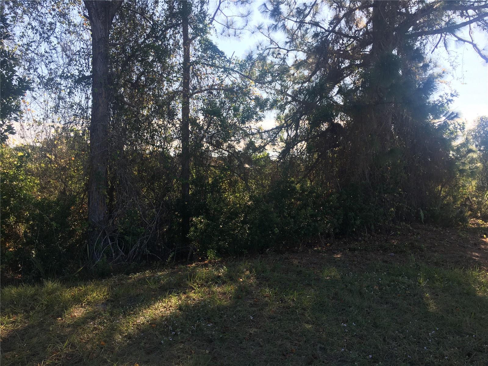 170 Tournament Rd Property Photo 4