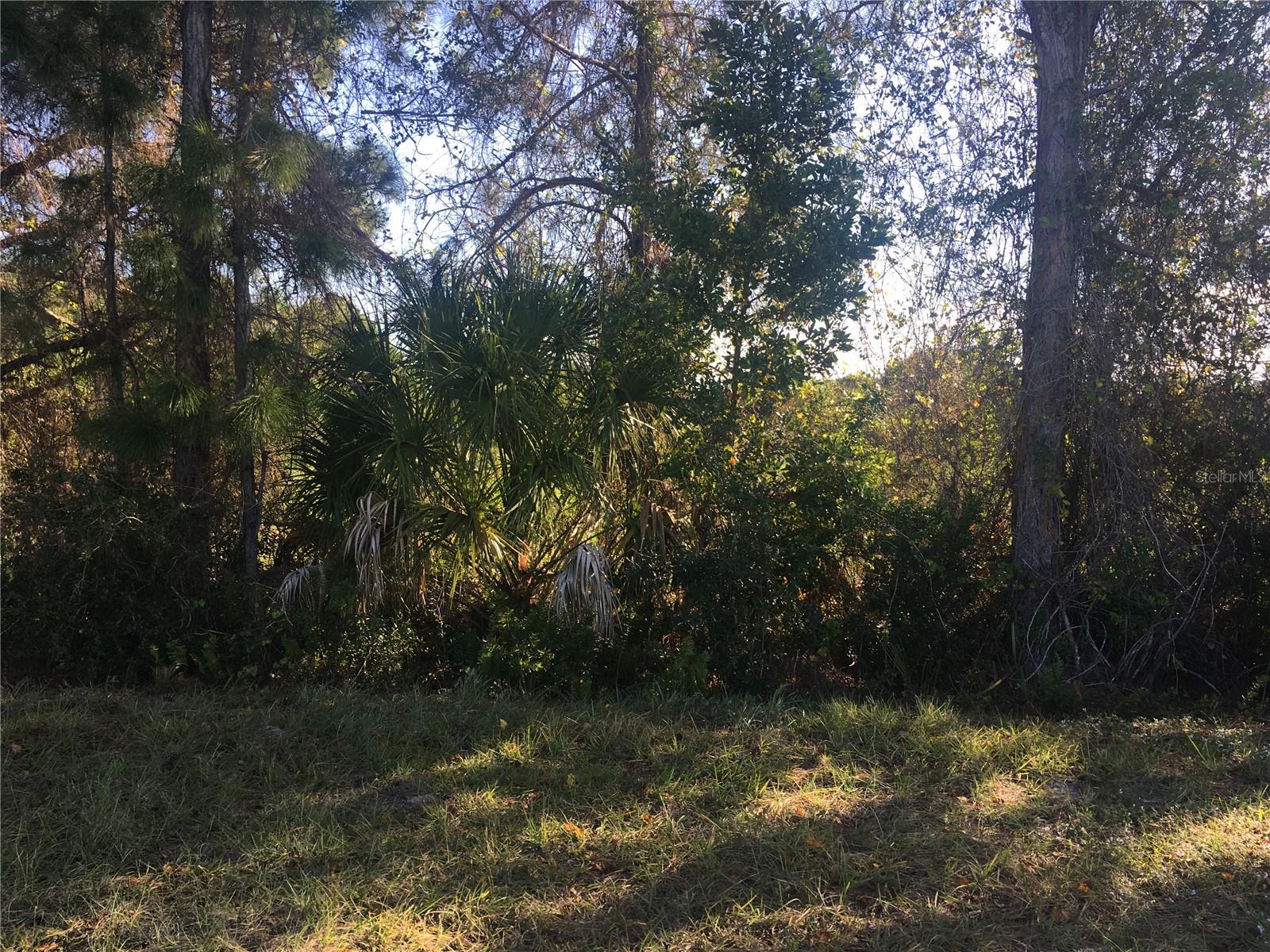 170 Tournament Rd Property Photo 6