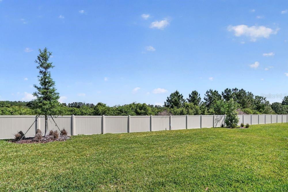 899 Arbor Green Trl Property Photo 28