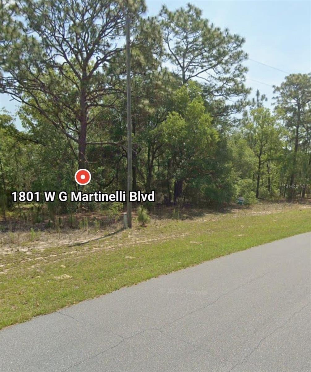1801 W G Martinelli Blvd Property Photo 2