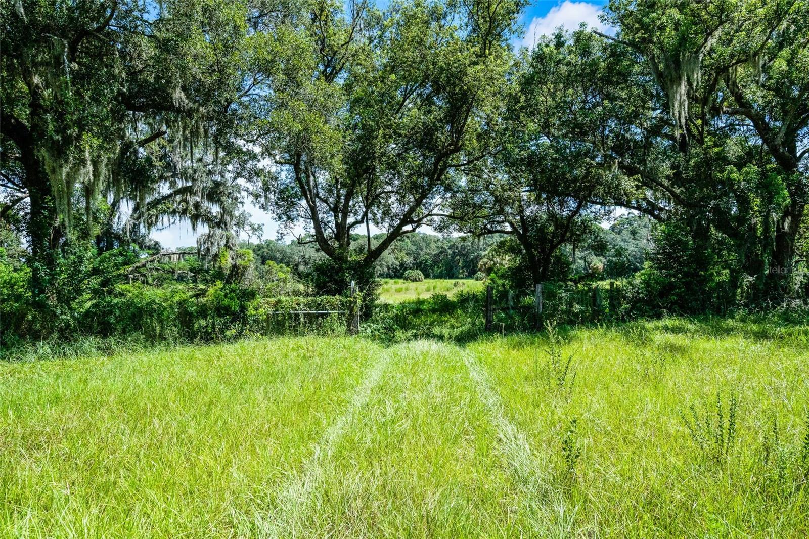 7466 Vivian Ln Property Photo 2