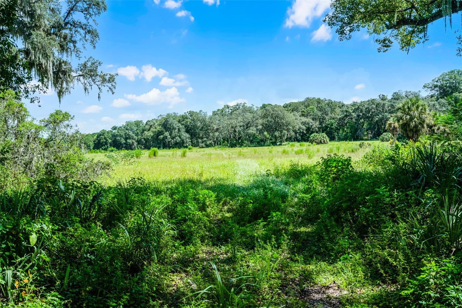 7466 Vivian Ln Property Photo 3