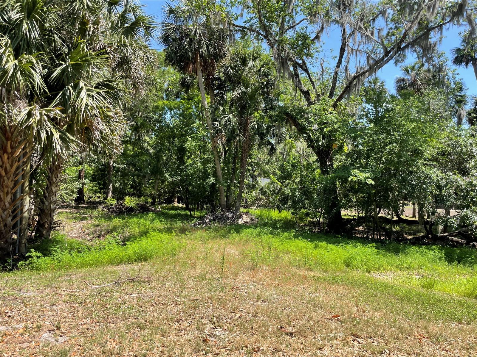 1496 Kettledrum Trl Property Photo 2