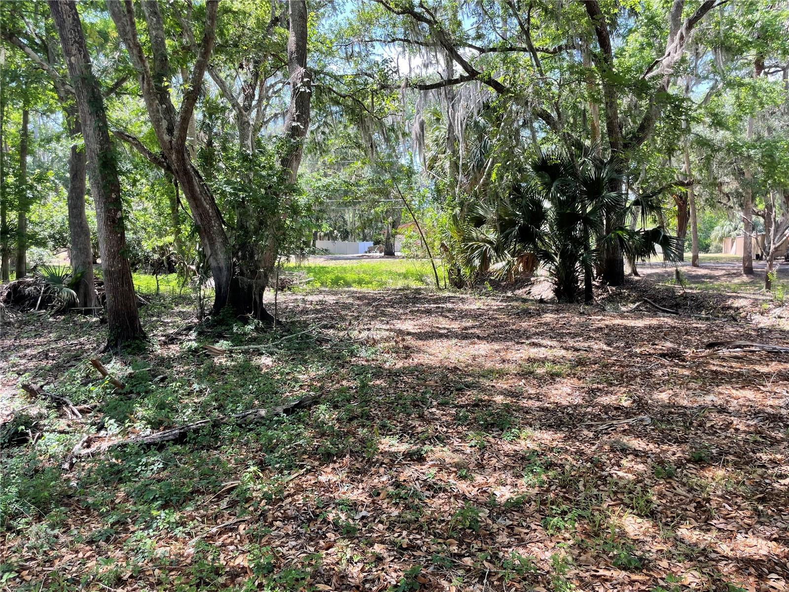 1496 Kettledrum Trl Property Photo 3