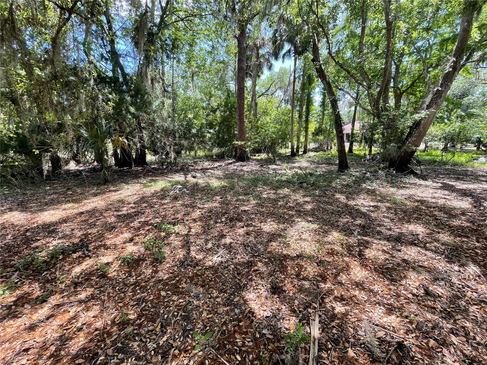 1496 Kettledrum Trl Property Photo 4