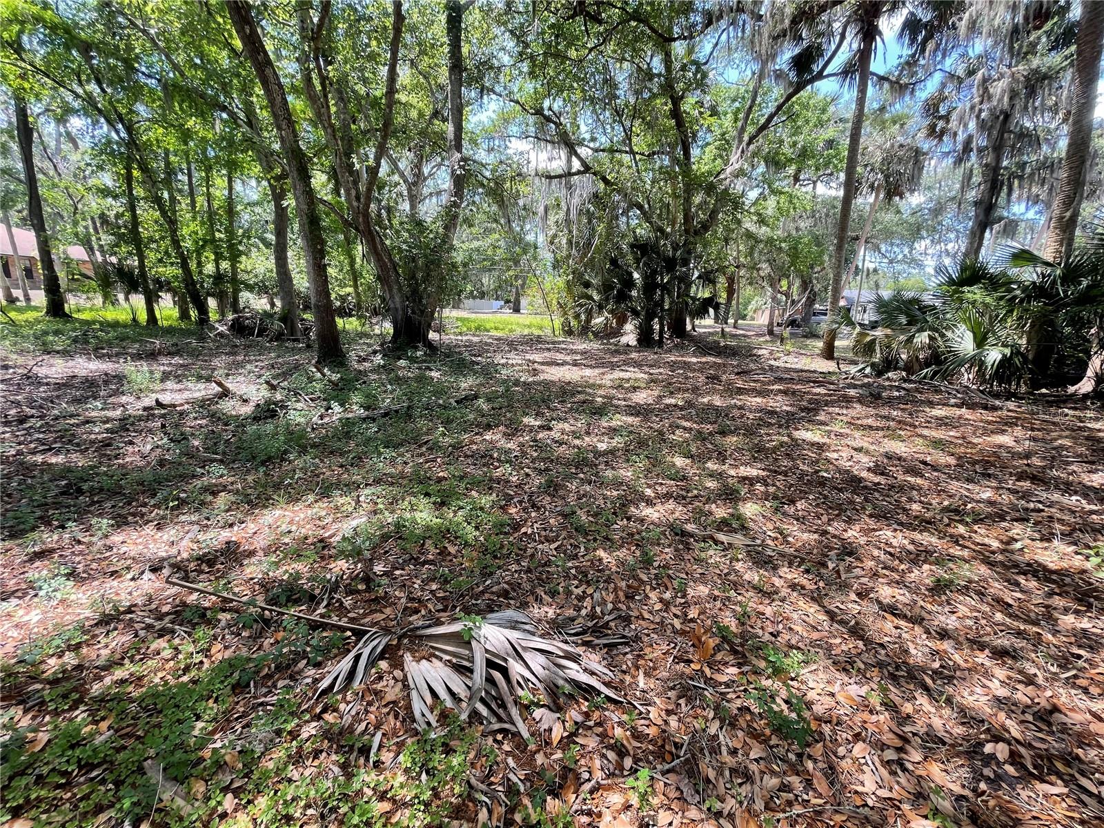 1496 Kettledrum Trl Property Photo 5