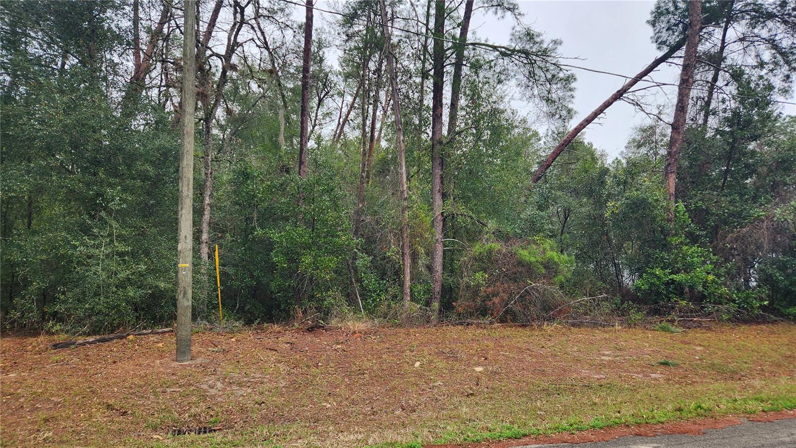 Locust Course Radl Property Photo 1