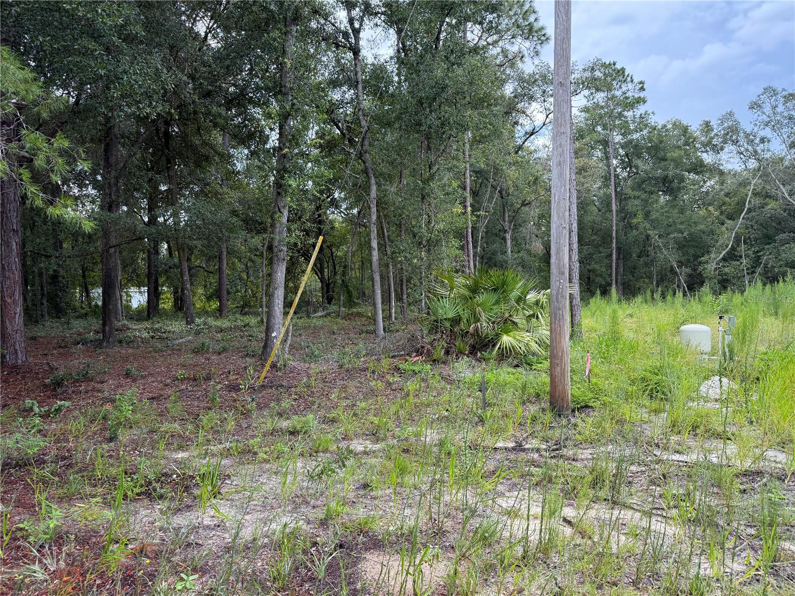 106 Jackson Ave Property Photo 2