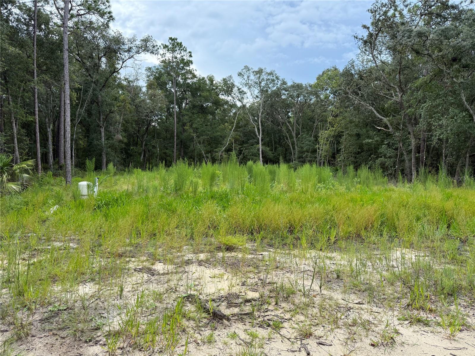 106 Jackson Ave Property Photo 4