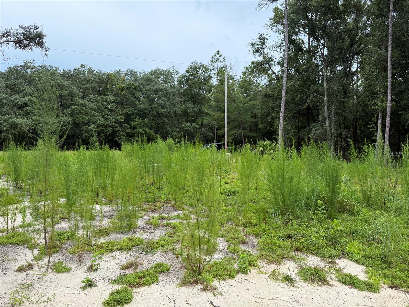 106 Jackson Ave Property Photo 11