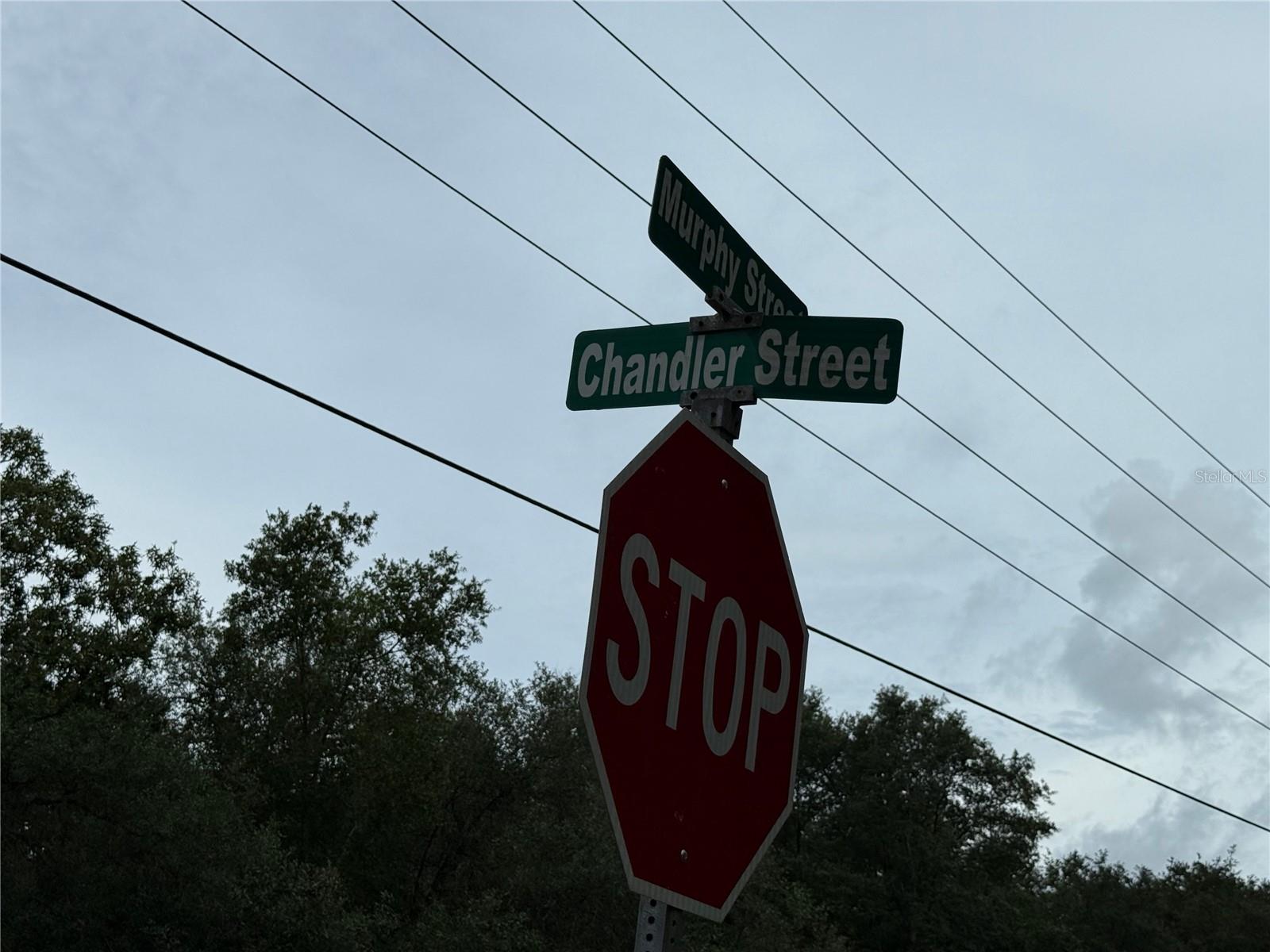 106 Jackson Ave Property Photo 20