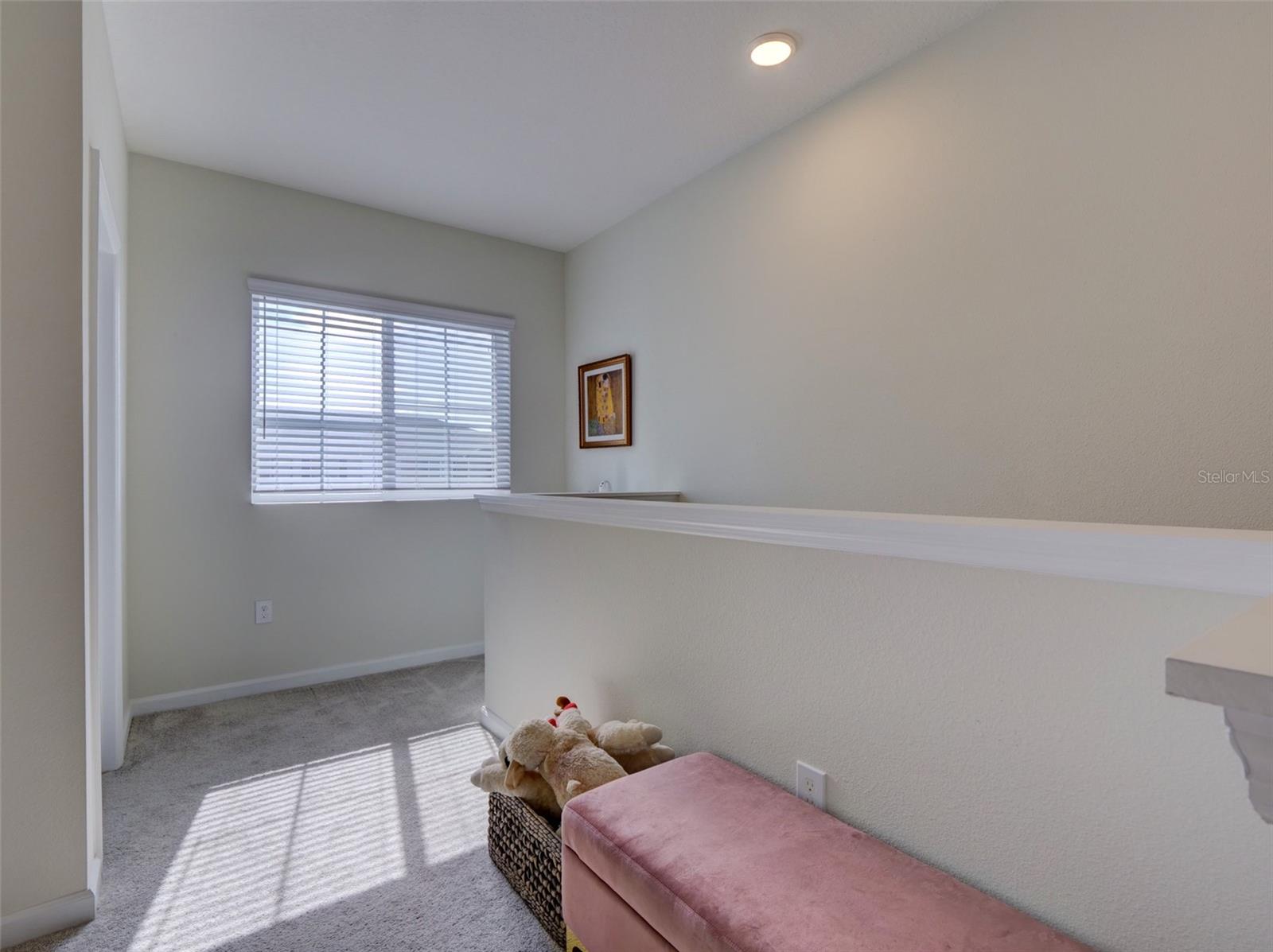 14796 Outfitter St Property Photo 14