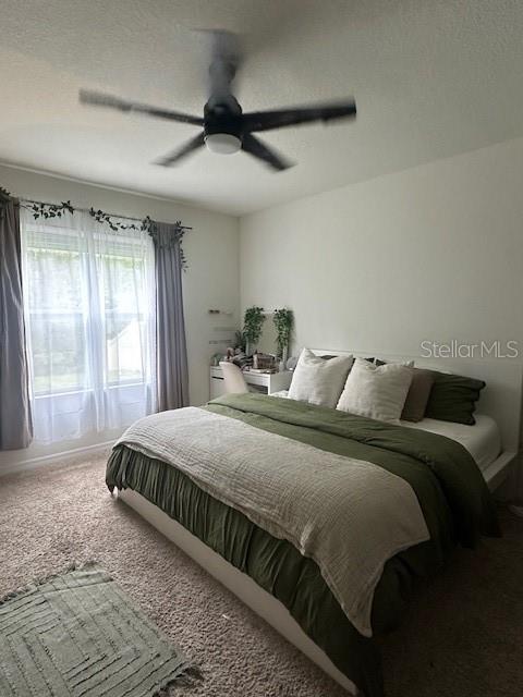 O6339245 Property Photo 7