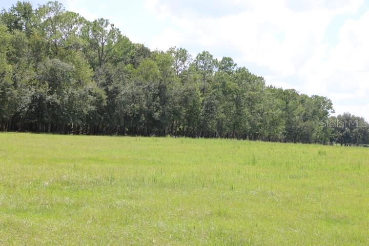 Green Swamp Rd Property Photo 3