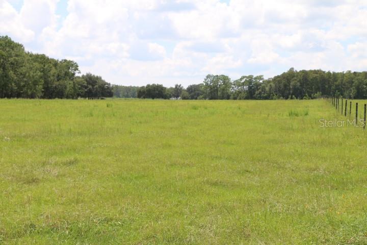Green Swamp Rd Property Photo 4