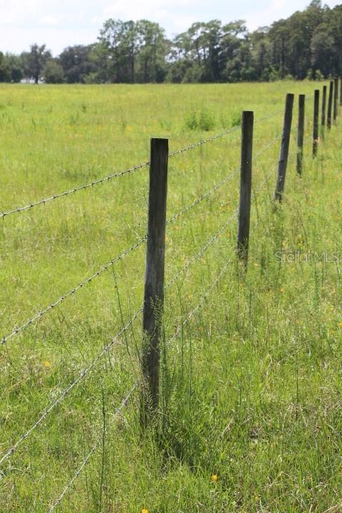 Green Swamp Rd Property Photo 5