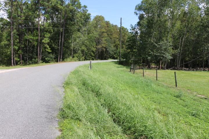 Green Swamp Rd Property Photo 6