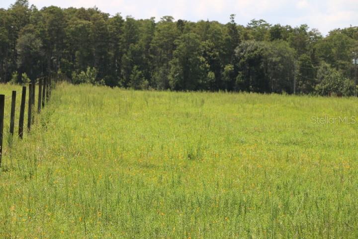 Green Swamp Rd Property Photo 9