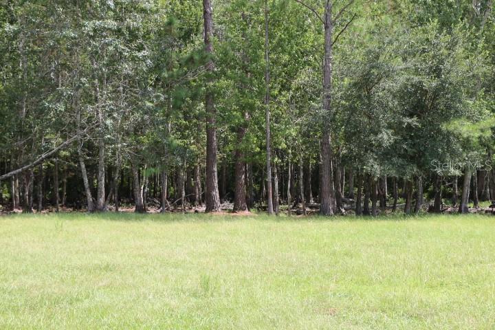 Green Swamp Rd Property Photo 10