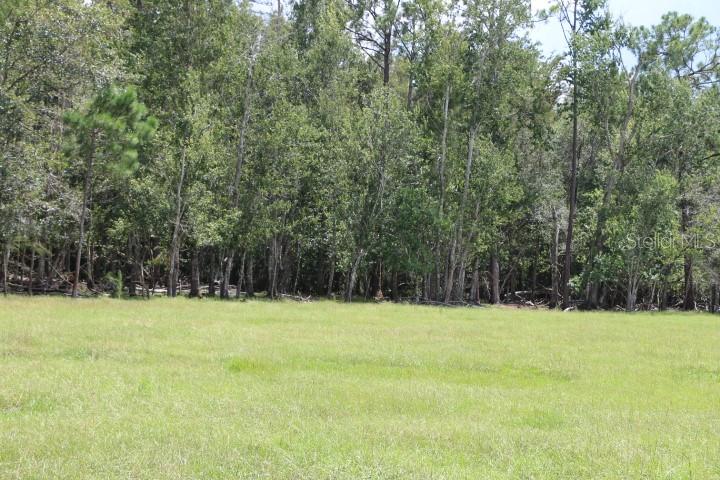 Green Swamp Rd Property Photo 11