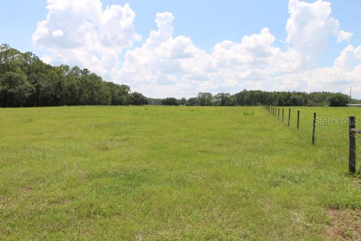 Green Swamp Rd Property Photo 12