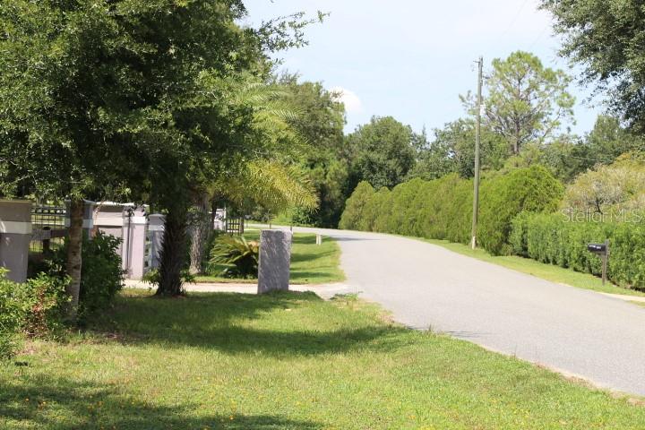 Green Swamp Rd Property Photo 16