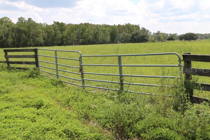 Green Swamp Rd Property Photo 17