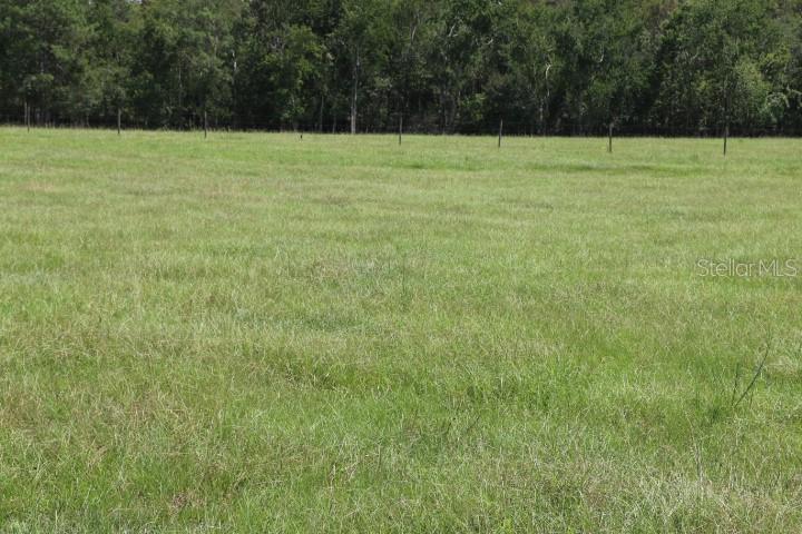 Green Swamp Rd Property Photo 19