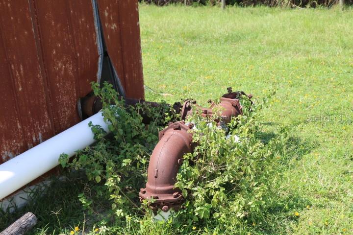 Green Swamp Rd Property Photo 21