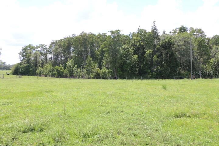 Green Swamp Rd Property Photo 23